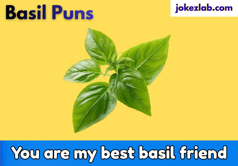 Basil puns