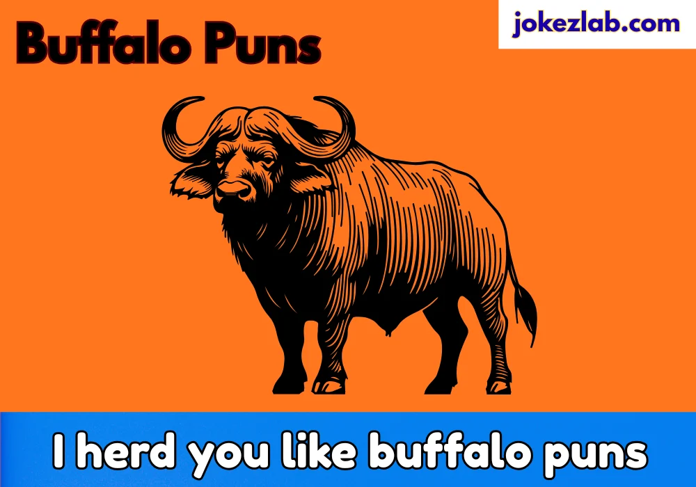 Buffalo Puns