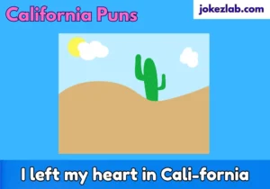 California puns