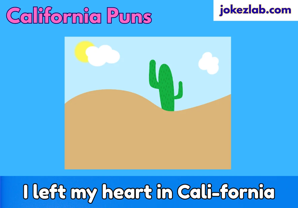 California puns