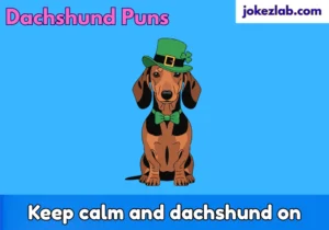 Dachshund Puns
