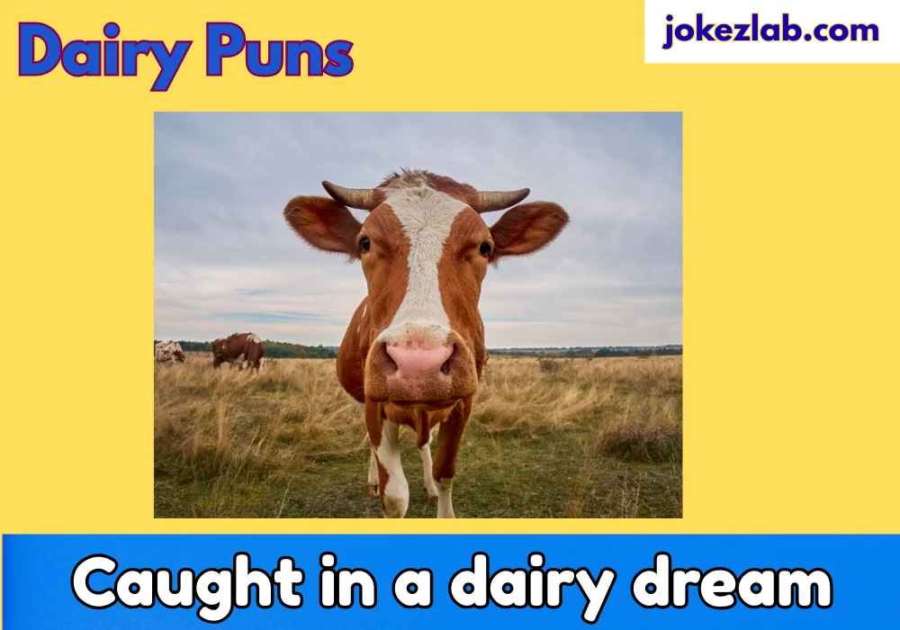Dairy Puns