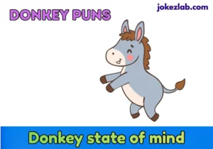 Donkey Puns
