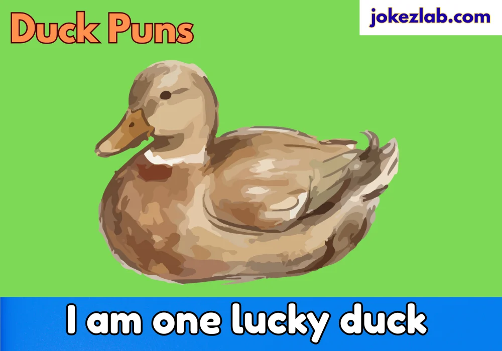 Duck Puns