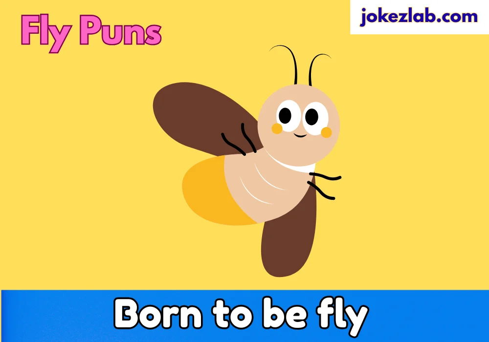 Fly Puns