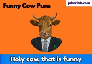 Funny Cow Puns