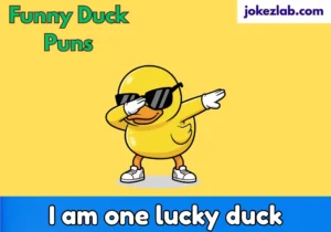 Funny Duck Puns