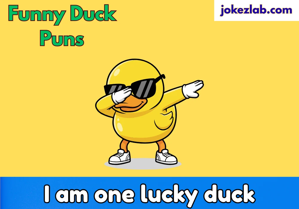 Funny Duck Puns