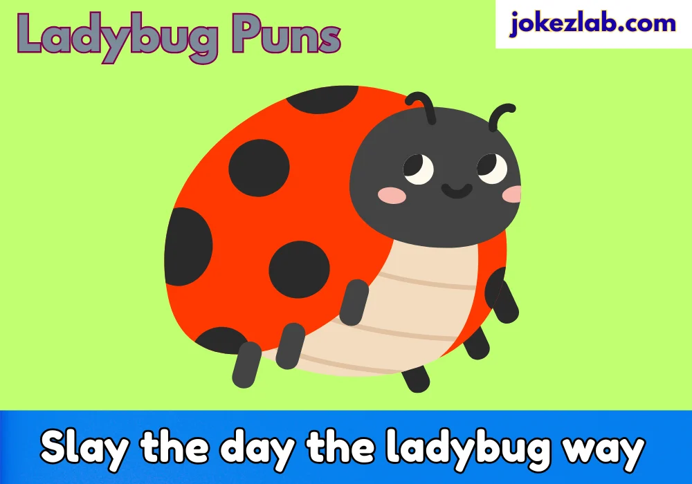 Ladybug Puns