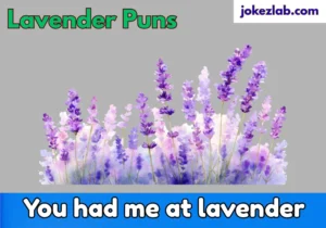 Lavender Puns
