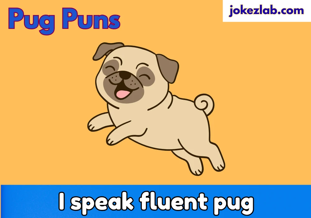 Pug Puns
