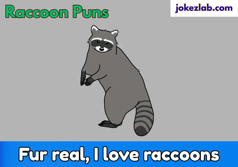 Raccoon Puns