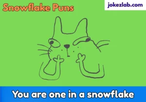 Snowflake Puns