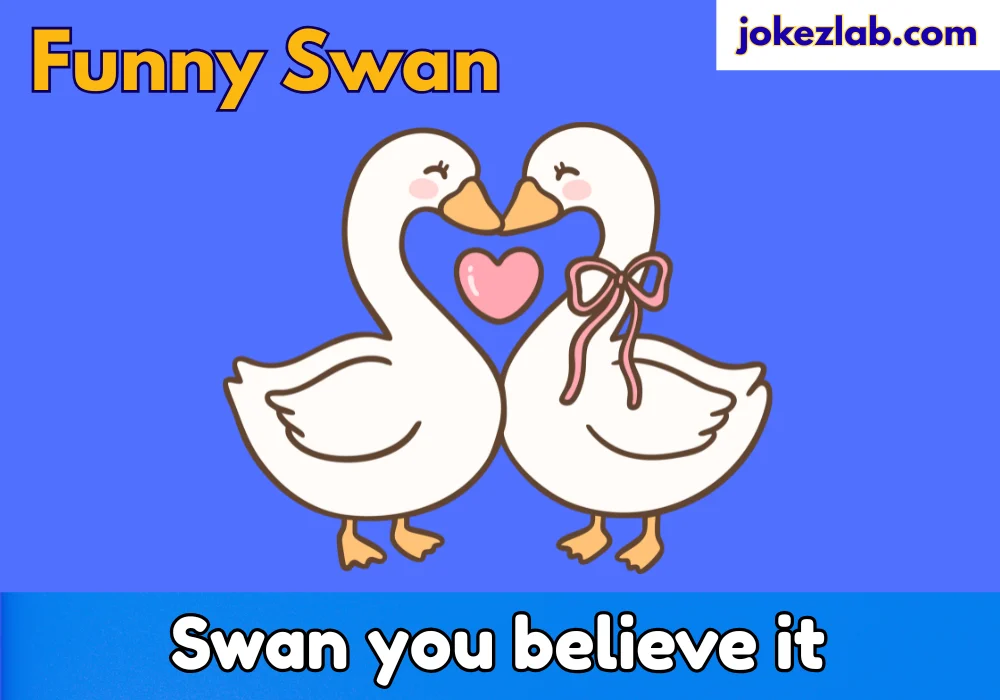Funny Swan