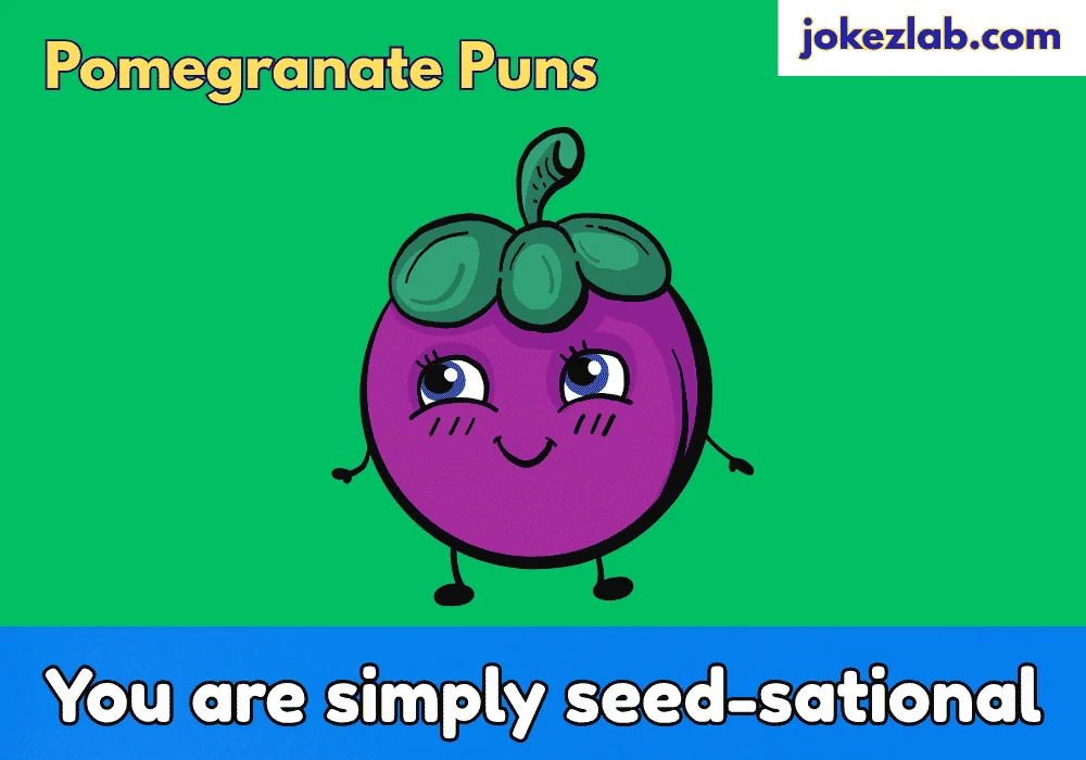 Cute Pomegranate Puns