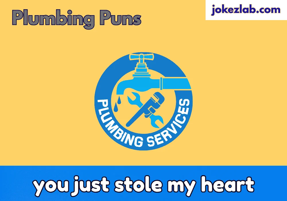 Flirty Plumber Jokes