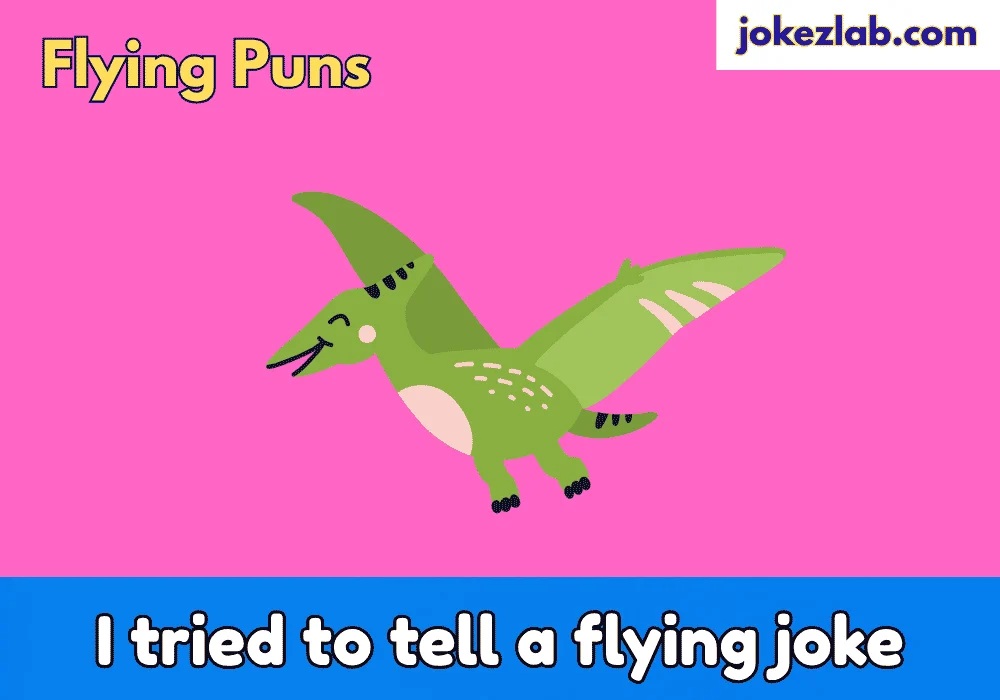 Flying Puns One-Liners