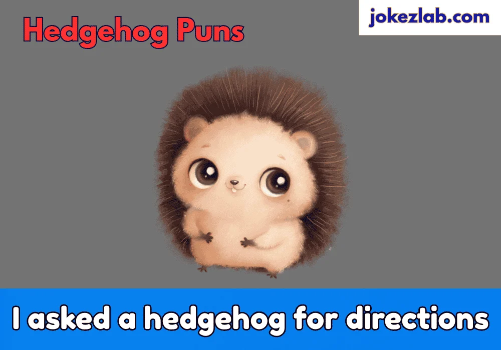 Hedgehog Upjoke