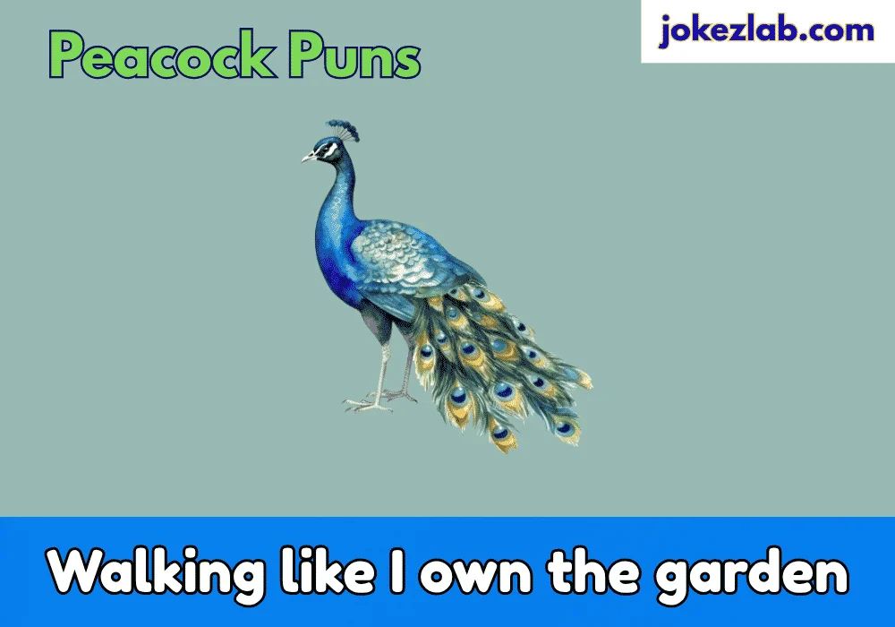 Peacock Puns Captions