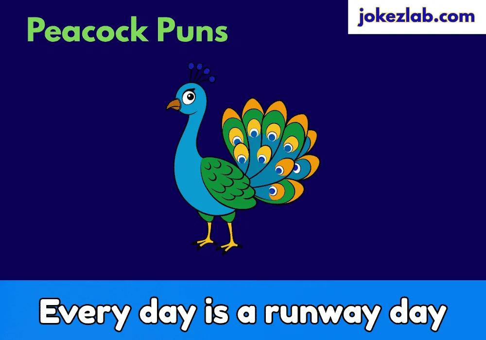 Peacock Puns One Liners