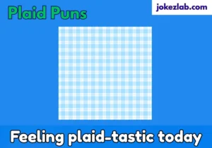 Plaid Puns