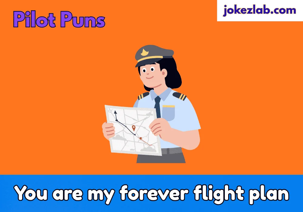 Plane Puns About Love