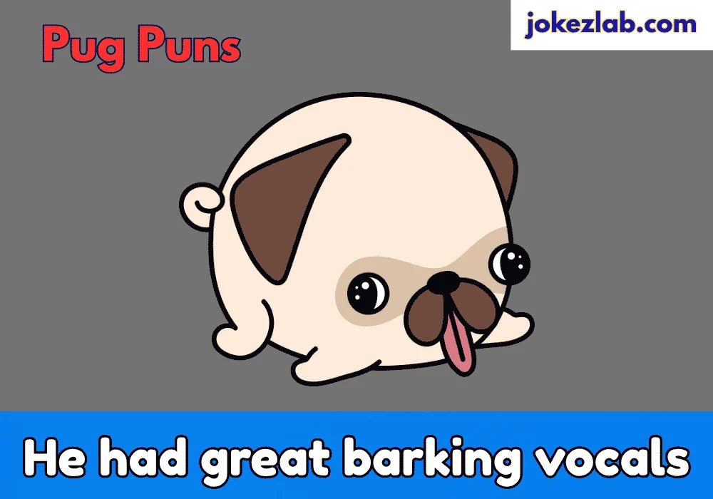 Pug Pun Names