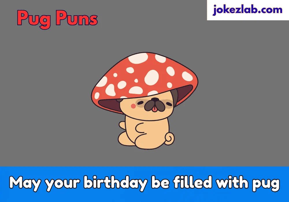 Pug Puns for Birthday