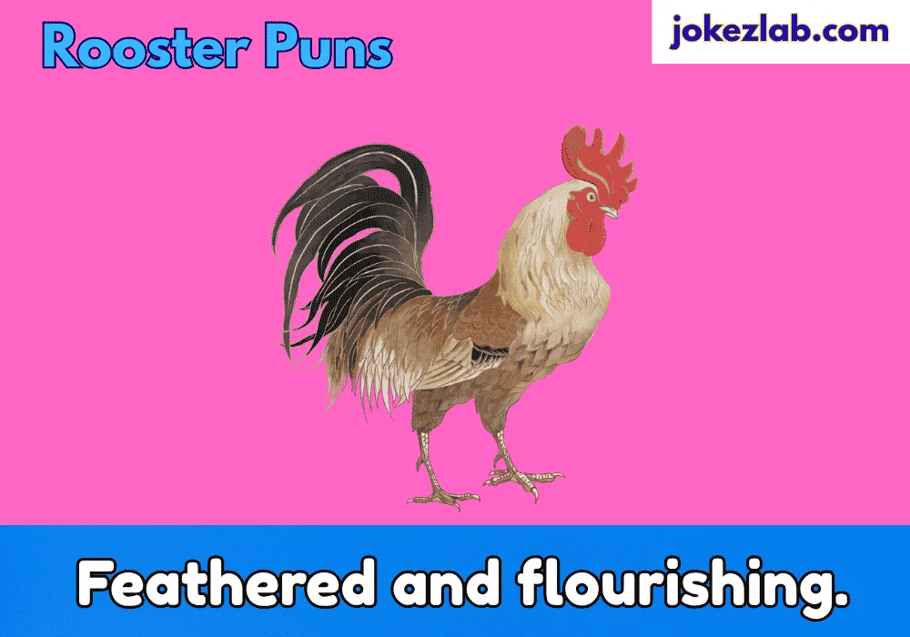 Rooster Puns Captions