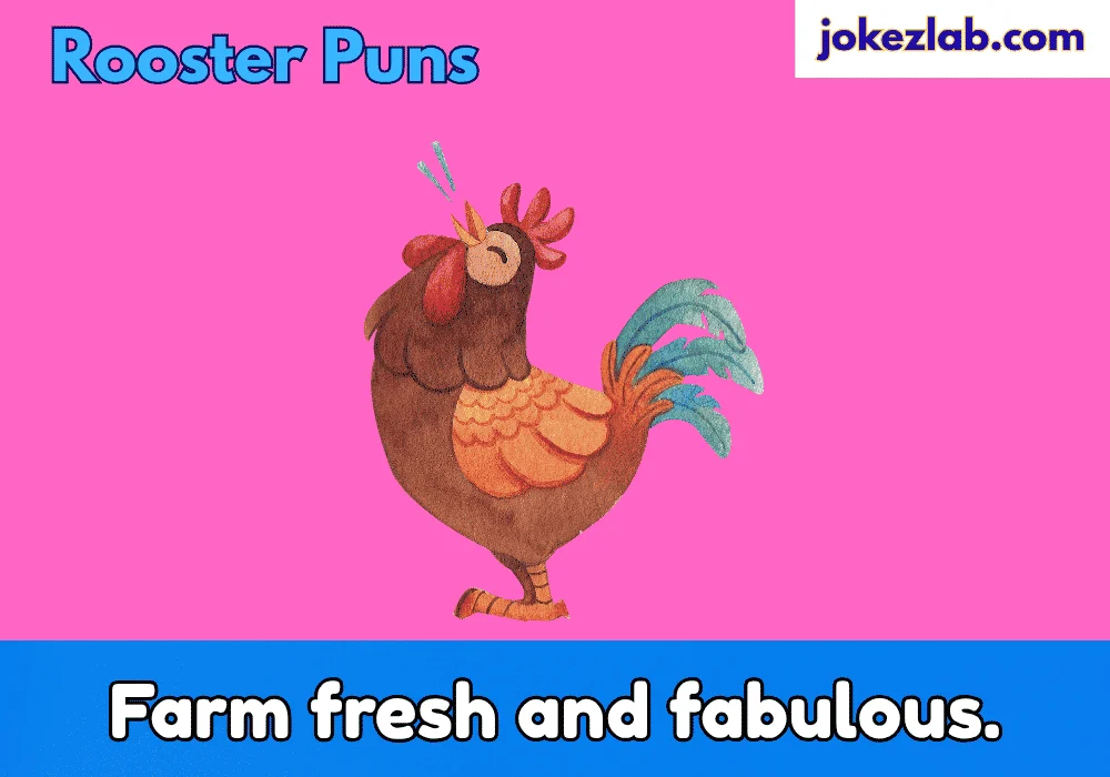 Rooster Puns for Instagram