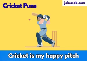 Cricket Puns