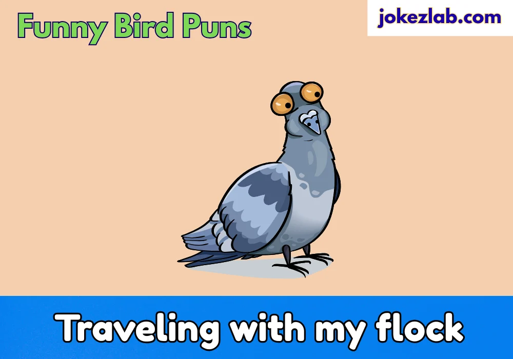Funny Bird Puns