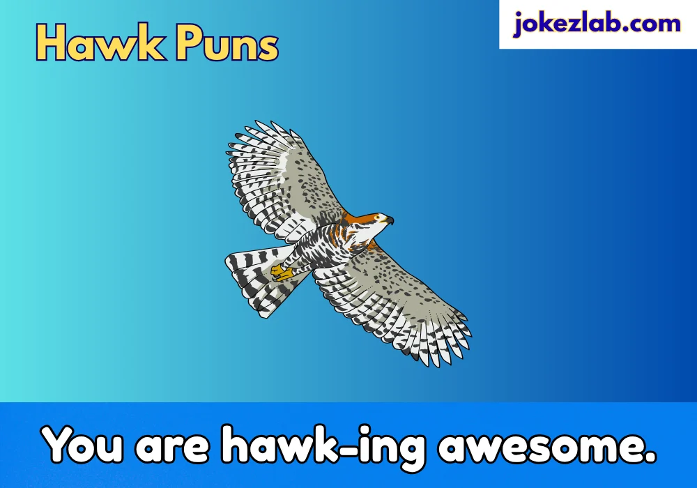 Hawk Puns