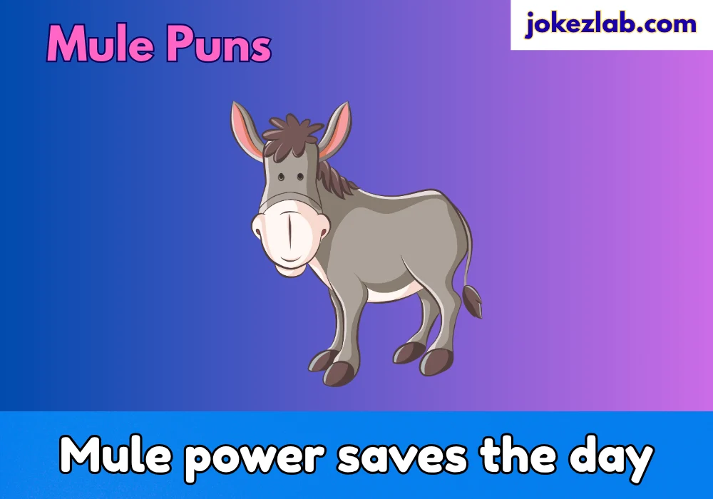 Mule Puns