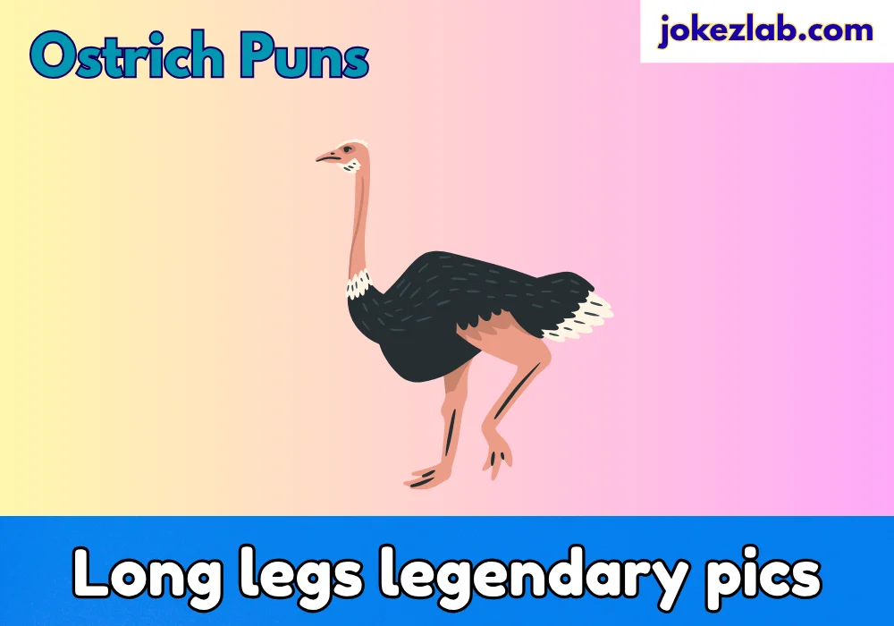 Ostrich Puns