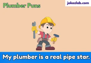 Plumber Puns